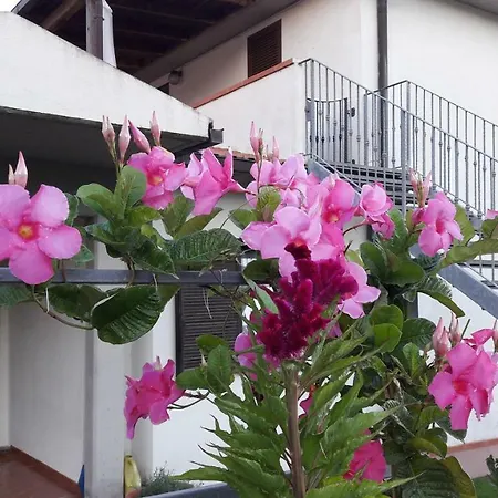 Appartamento Panoramico Pancole Exterior foto
